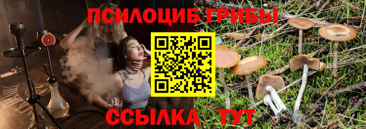 Псилоцибиновые грибы ЛСД  Галлюциногенные грибы ЛСД  Красногорск 