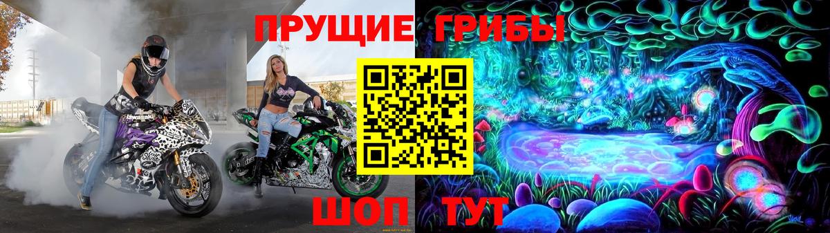 Галлюциногенные грибы Cubensis Красногорск