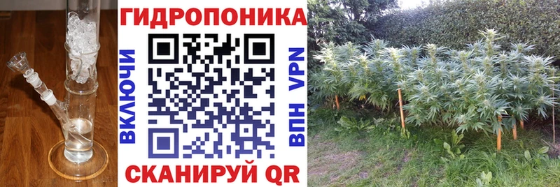 Шишки марихуана AK-47  МЕГА tor  Красногорск  что такое  